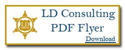 LD Consulting Flyer